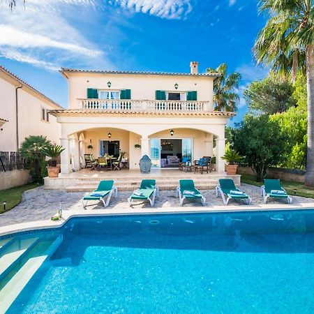Ideal Property Mallorca - Didi Alcudia  Exteriör bild