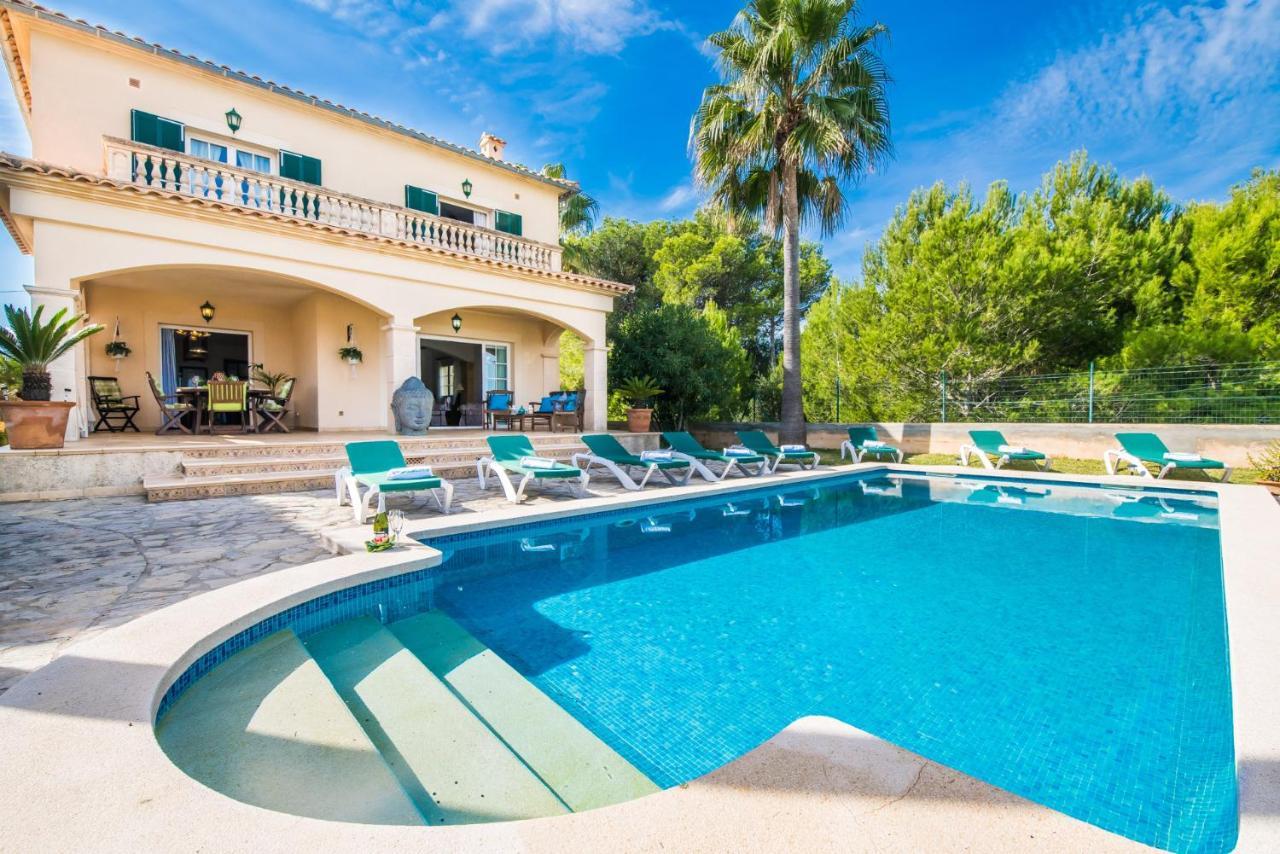 Ideal Property Mallorca - Didi Alcudia  Exteriör bild