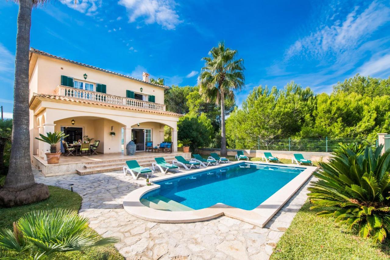 Ideal Property Mallorca - Didi Alcudia  Exteriör bild
