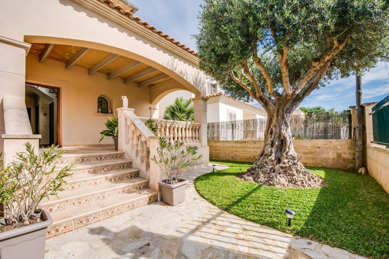 Ideal Property Mallorca - Didi Alcudia  Exteriör bild